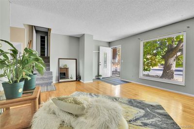 Living room with hardwood floors, picture window, electric fireplace, fresh paint | Image 2