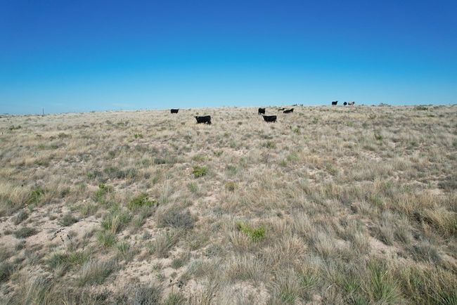 0000 Camp Springs Rd, Home with 0 bedrooms, 0 bathrooms and null parking in Snyder TX | Image 13