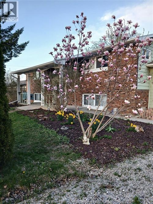 8 Story St, Blenheim, ON, N0P1A0 | Card Image