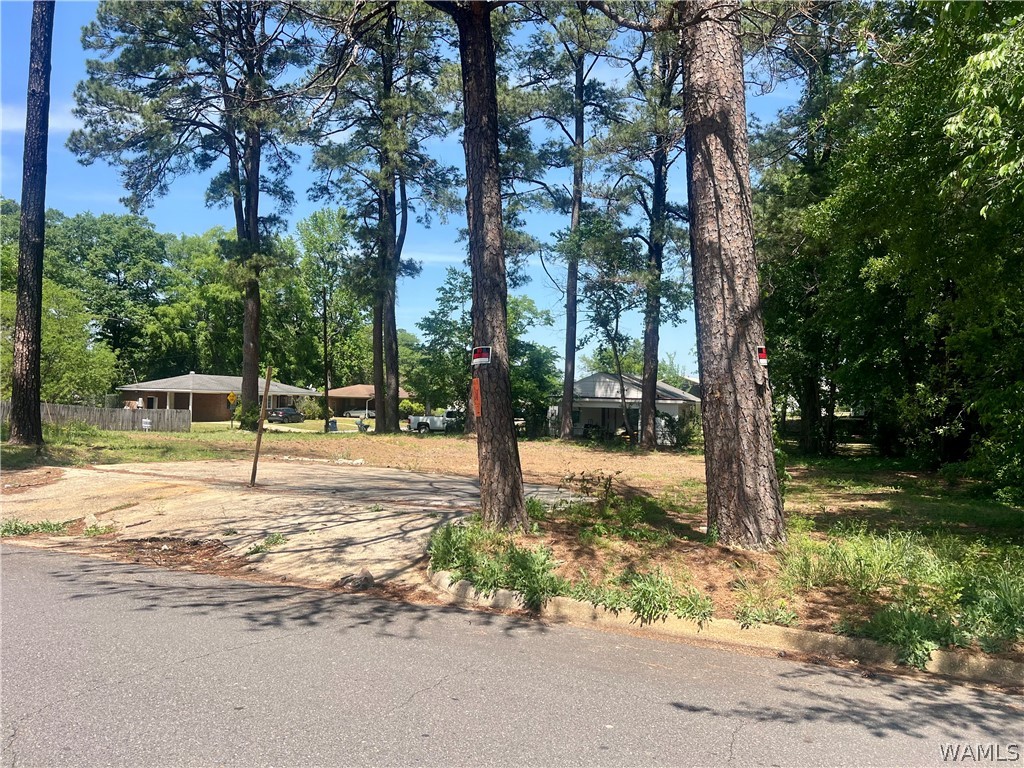 Land in Northport 2