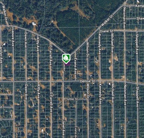 LOT 3 Janet Ave, Interlachen, FL, 32148 | Card Image