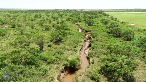 8445 County Road 226, Avoca, TX, 79503 | Card Image