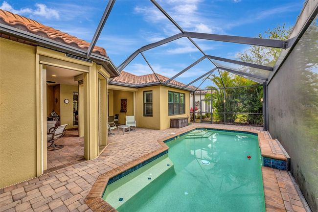 Salt water pool | Image 32