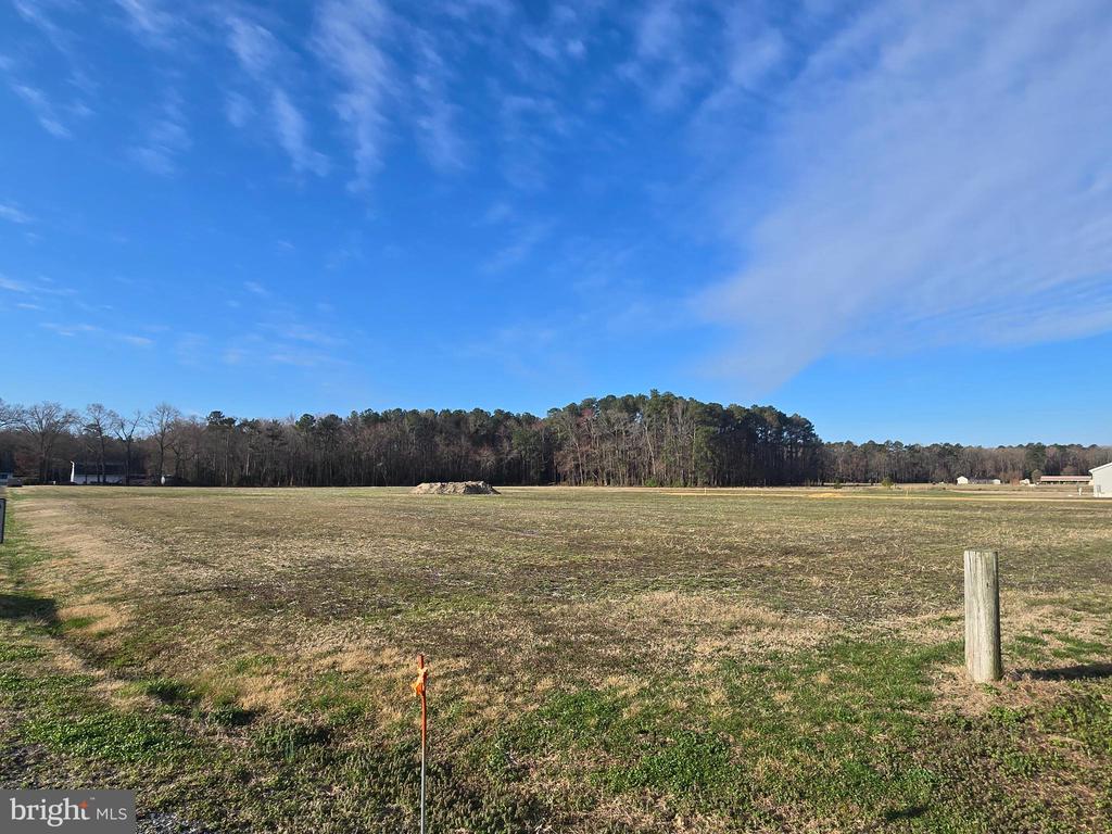 Land in LAUREL 5