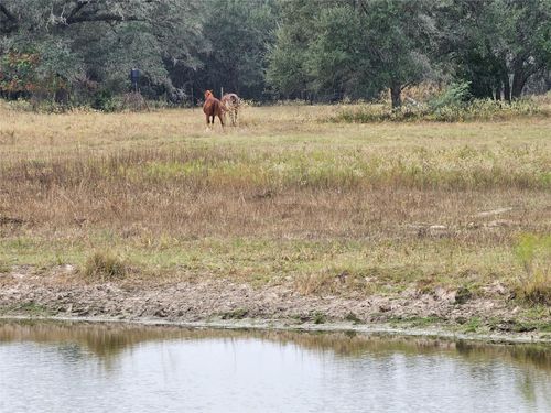 0 Schultz, Columbus, TX, 78934 | Card Image