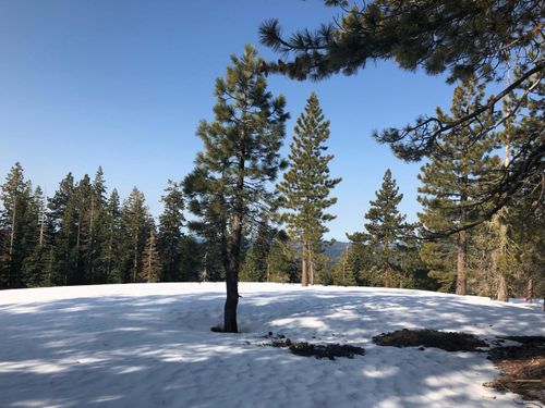 54 Liberty Road, Valley Springs, CA, 95223 | Card Image