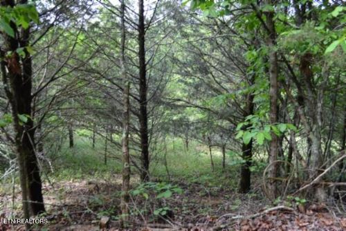 9ac Circle Road Rd, Burkesville, KY, 42717 | Card Image