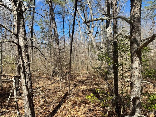 0 Divide Trl, Monterey, TN, 38574 | Card Image