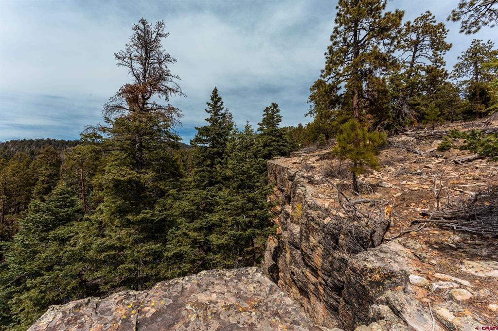 Land in Durango 5