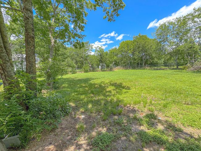 View of yard | Image 35