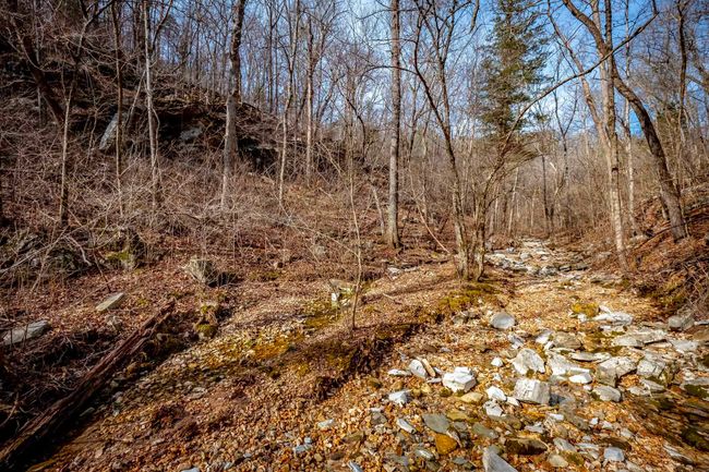 00 Bear Skin Dr, Home with 0 bedrooms, 0 bathrooms and null parking in Harriet AR | Image 48