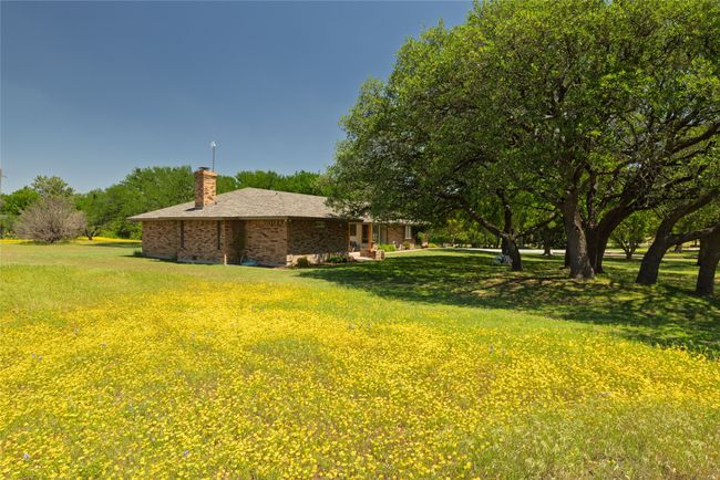 A sea of flowers welcome you home. | Image 7