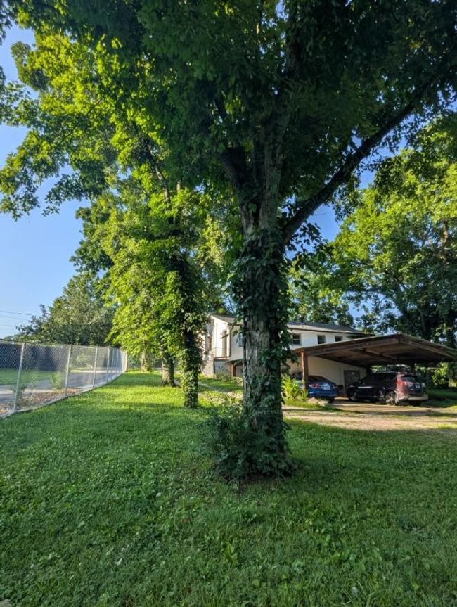 109 Hobbs Dr, House other with 4 bedrooms, 3 bathrooms and 3 parking in Columbia TN | Image 18