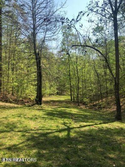 Lot 14 Black Fox Harbor Rd, Home with 0 bedrooms, 0 bathrooms and null parking in Washburn TN | Image 1