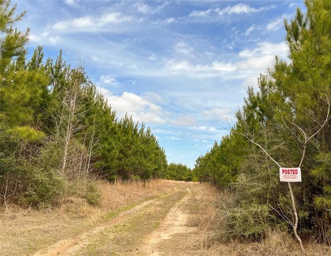 6 Fm 1746, Home with 0 bedrooms, 0 bathrooms and null parking in Spurger TX | Image 12