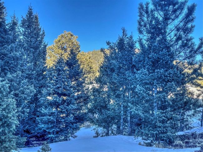 1174 Monarch Dr, Home with 0 bedrooms, 0 bathrooms and null parking in Cripple Creek CO | Image 23