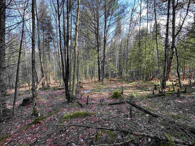 Lot 109 Steeple View Dr, Home with 0 bedrooms, 0 bathrooms and null parking in Bethlehem NH | Image 17