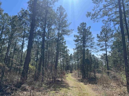 11-13-19 Ouachita Cr 183, Chidester, AR, 71726 | Card Image