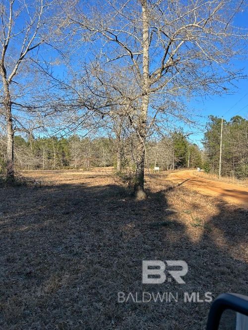0 Buddy Lake Road, Brewton, AL, 36426-1234 | Card Image