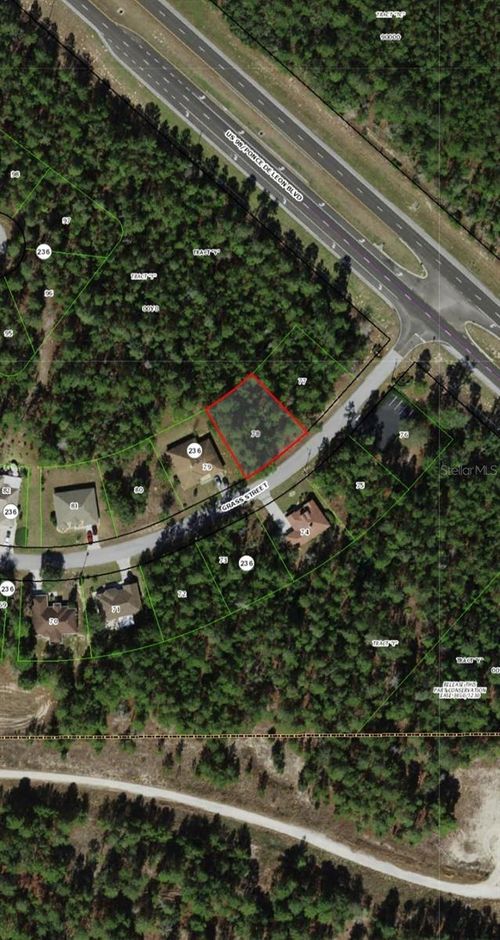 111 Grass Street, Homosassa, FL, 34446 | Card Image