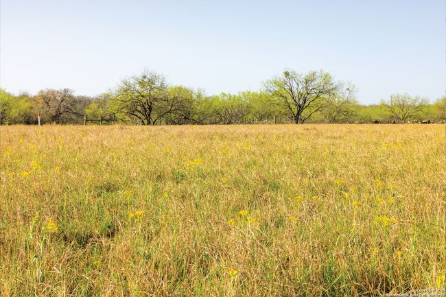 343 Batey Rd, Home with 3 bedrooms, 2 bathrooms and null parking in Nixon TX | Image 28