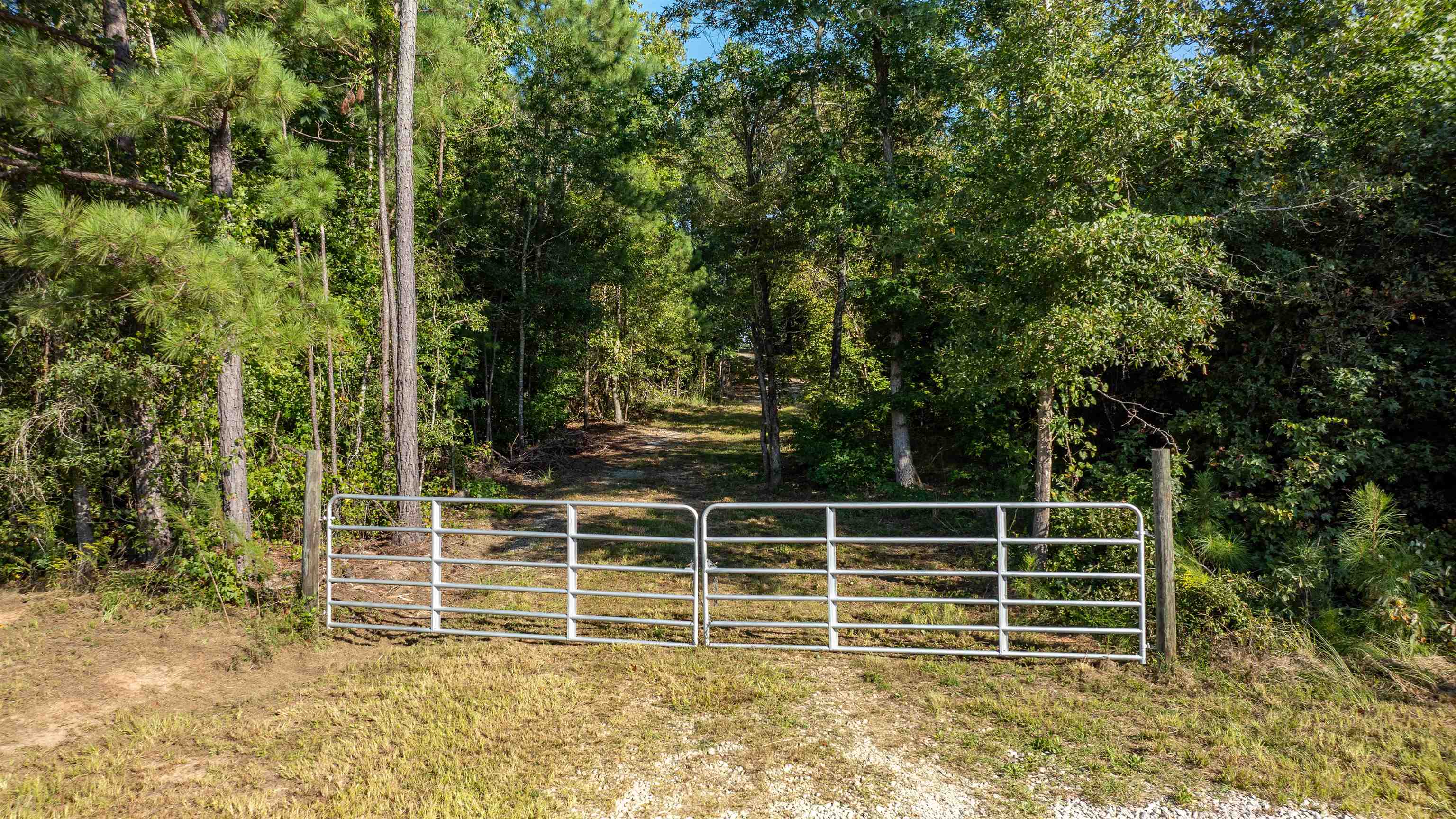 Land in Greensboro 3