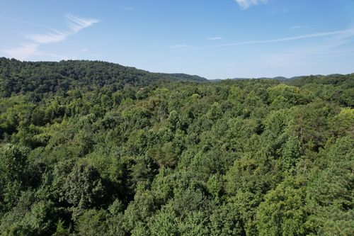 121 Frank Reed Rd, Spring City, TN, 37381 | Card Image
