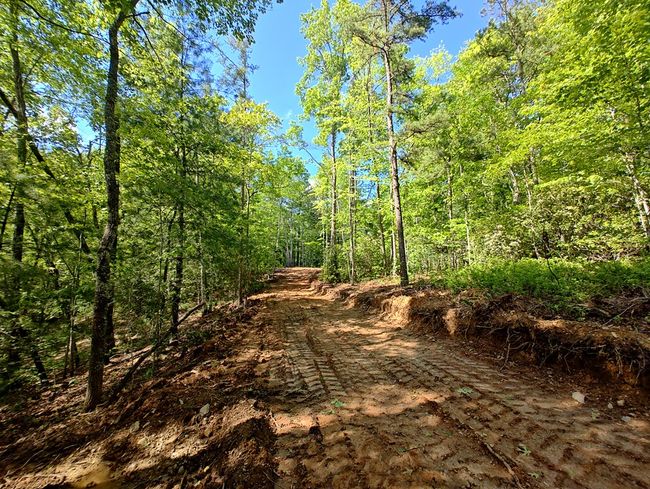 Lot 3 Megan Trace Ln, Home with 0 bedrooms, 0 bathrooms and null parking in Turtletown TN | Image 11