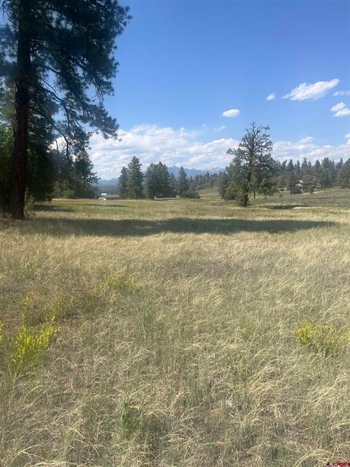 350 Bristlecone Dr, Pagosa Springs, CO, 81147-8229 | Card Image