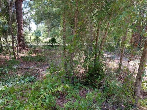 2000 Lake Juanita Rd, SEVILLE, FL, 32190-7827 | Card Image