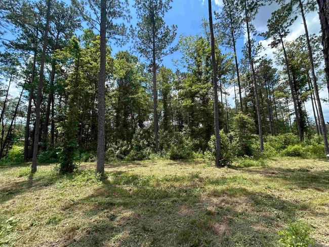 14856 Pace Rd, Home with 0 bedrooms, 0 bathrooms and null parking in Clinton LA | Image 4
