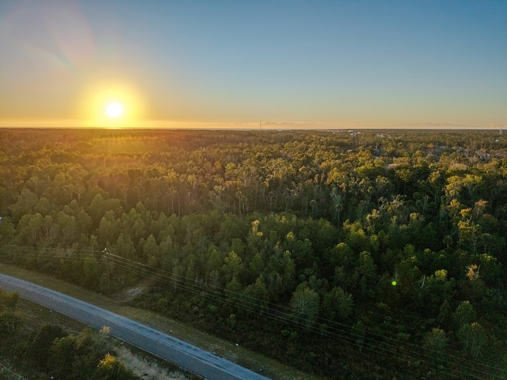 Land in Steinhatchee 2