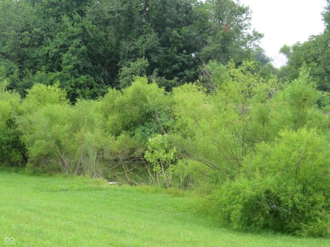 Natural bird habitat | Image 38