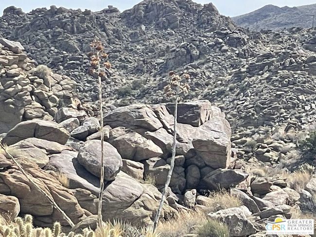0 Desert Calico, Home with 0 bedrooms, 0 bathrooms and null parking in Mountain Center CA | Image 39