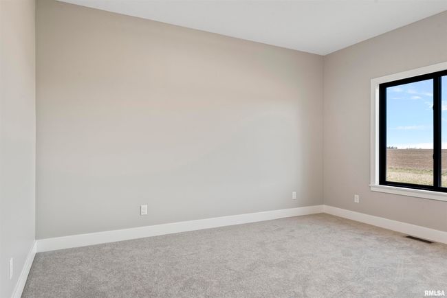 1115 Cherrywood Ct, House other with 3 bedrooms, 3 bathrooms and null parking in Sherman IL | Image 32