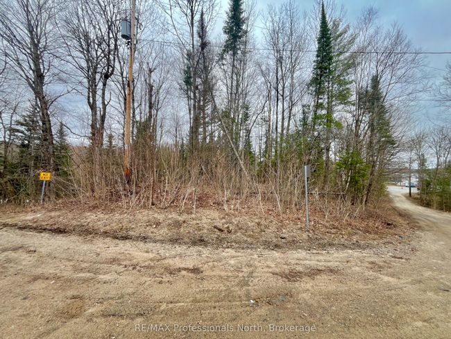 0 Ransley Rd, Home with 0 bedrooms, 0 bathrooms and null parking in Minden ON | Image 34