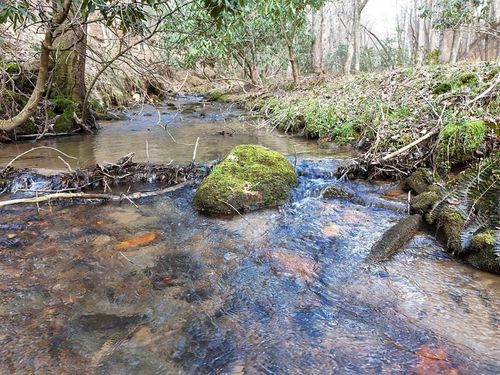 LT 45A Synacia Dr, Mineral Bluff, GA, 30559 | Card Image