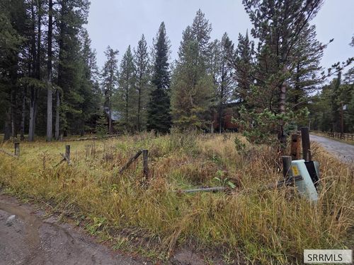 0.27 Acres Bootjack Drive, Island Park, ID, 83429 | Card Image