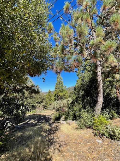  Double View Drive, Idyllwild, CA, 92549 | Card Image