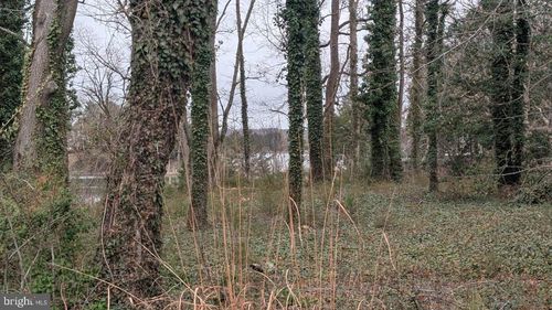 Lot 30Z Clubhouse Loop, Montross, VA, 22520-3863 | Card Image