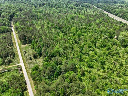 Lot 8 Mill Creek Road, Falkville, AL, 35622 | Card Image