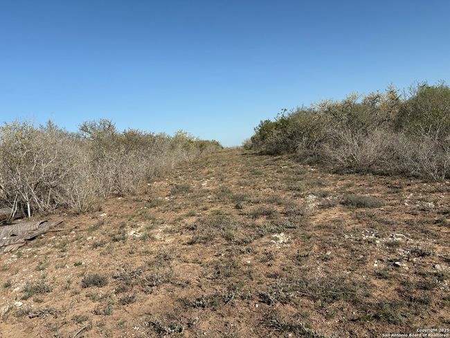 TR102 Frontier A Rd, Home with 0 bedrooms, 0 bathrooms and null parking in Freer TX | Image 8