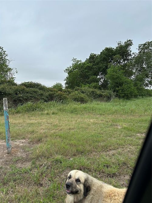 0 County Road 465, Blessing, TX, 77419 | Card Image