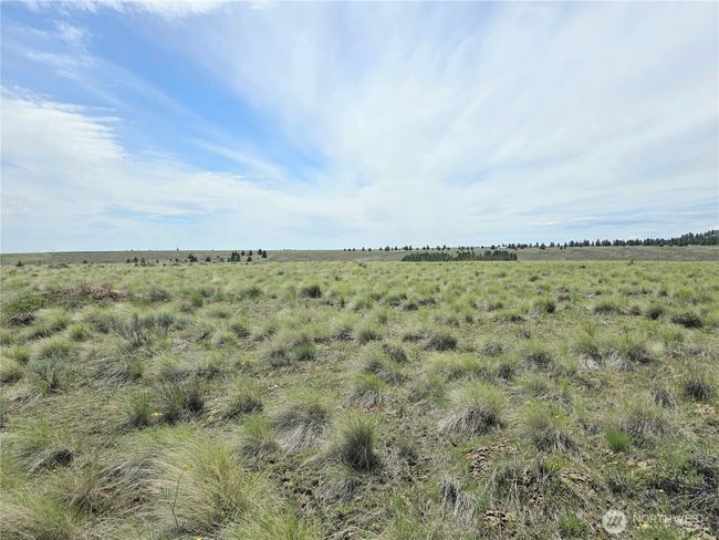 226 Duree Rd, Home with 0 bedrooms, 0 bathrooms and null parking in Bickleton WA | Image 18