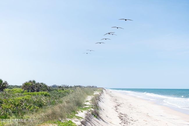 52 Northshore Dr, House other with 5 bedrooms, 8 bathrooms and null parking in PALM COAST FL | Image 92
