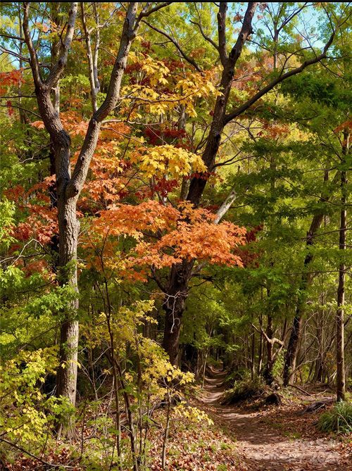 13 Spring Valley Ct, Arden, NC, 28704-9707 | Card Image