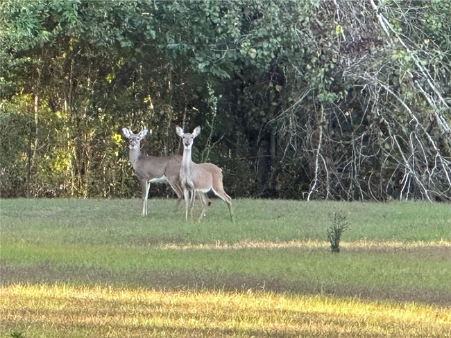 WELCOMING COMMITTEE! | Image 51