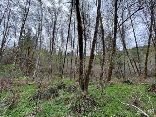 0 Lot 3 Abernathy Creek Rd, Longview, WA, 98632 | Card Image