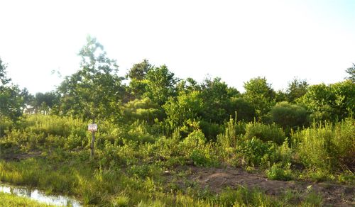 603 Road 5516, Cleveland, TX, 77327-4697 | Card Image