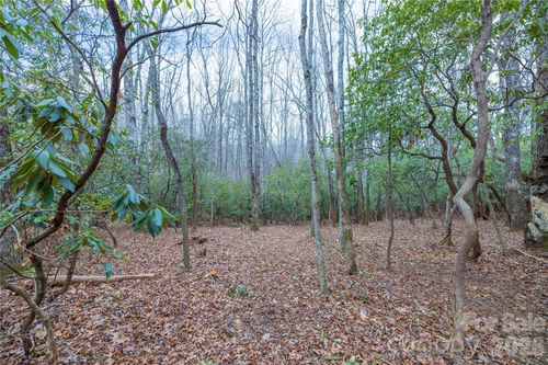 Tract 1 Turtle Ridge Trail, Mills River, NC, 28759 | Card Image